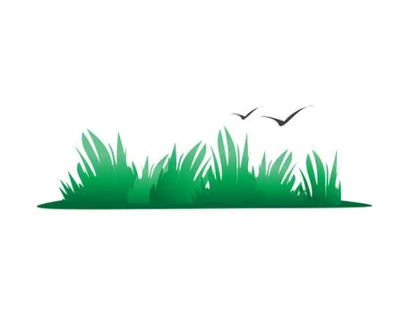 Grass illustration Stock Illustration