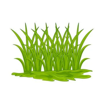 Grass Illustration Stock-Illustration