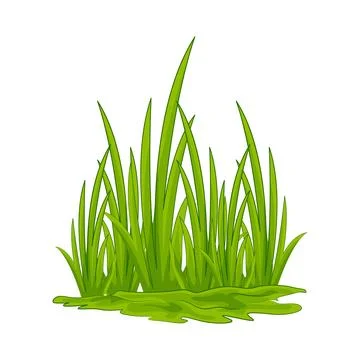 Grass Illustration Stock Illustration