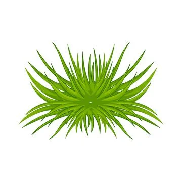 Grass Illustration Illustrazione stock