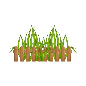 Grass Illustration Stock Illustration
