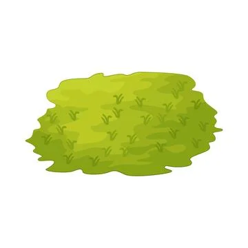 Grass illustration Illustration