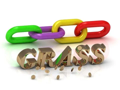 GRASS- inscription of gold letters and green, yellow, red section of the chai Stock Illustration