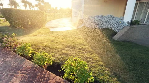 Grass irrigation. Lawn irrigation system. Video stock 231996514