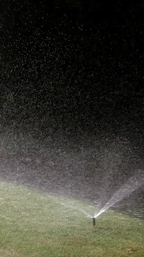 Grass irrigation. Lawn irrigation system. lawn sprinkler. irrigation system. Video stock 317437829