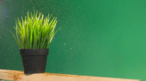 Grass irrigation process on a green background Stock Footage 62019397
