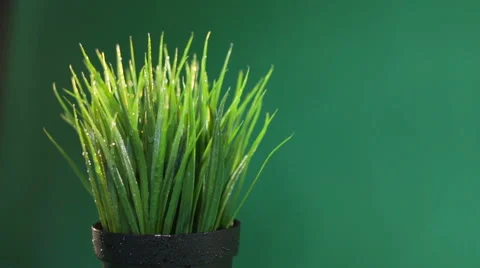 Grass irrigation process on a green background Stock Footage 62019479