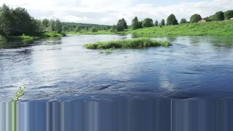 Grass island in the middle of the river Stock Footage 145425339