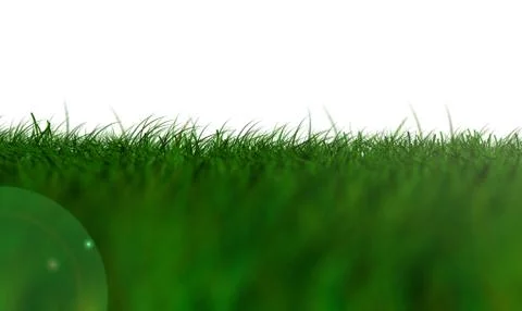 Grass isolated low view Stock Illustration