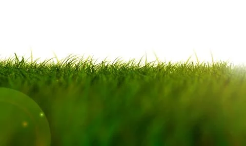 Grass isolated low view Stock Illustration