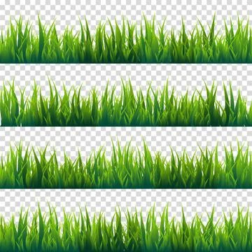 Grass isolated on transparent background set. Green meadow. Nature background Stock Illustration