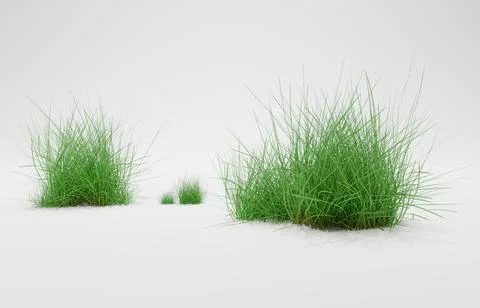 Grass isolated on white background. 3d rendering illustration. Stock Illustration
