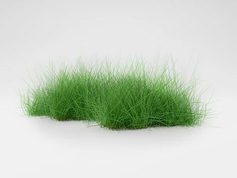 Grass isolated on white background. 3d rendering illustration. Stock Illustration