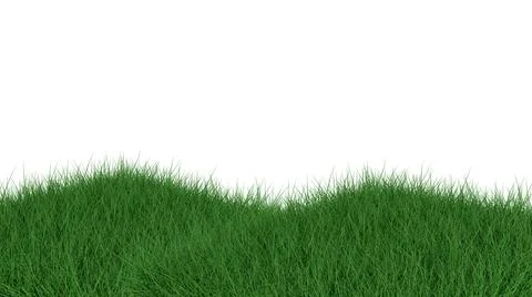 Grass isolated on white background. 3d rendering illustration. Stock Photos