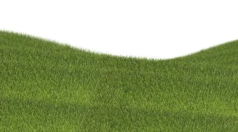 Grass isolated on white background. 3d rendering illustration. Foto stock