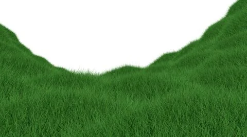 Grass isolated on white background. 3d rendering illustration. Stock-Fotos