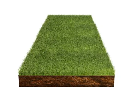 Grass isolated on white background. 3d rendering illustration.. Stock Photos