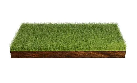 Grass isolated on white background. 3d rendering illustration.. Stock Photos