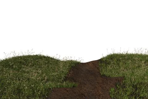 Grass isolated on white background Stock Illustration