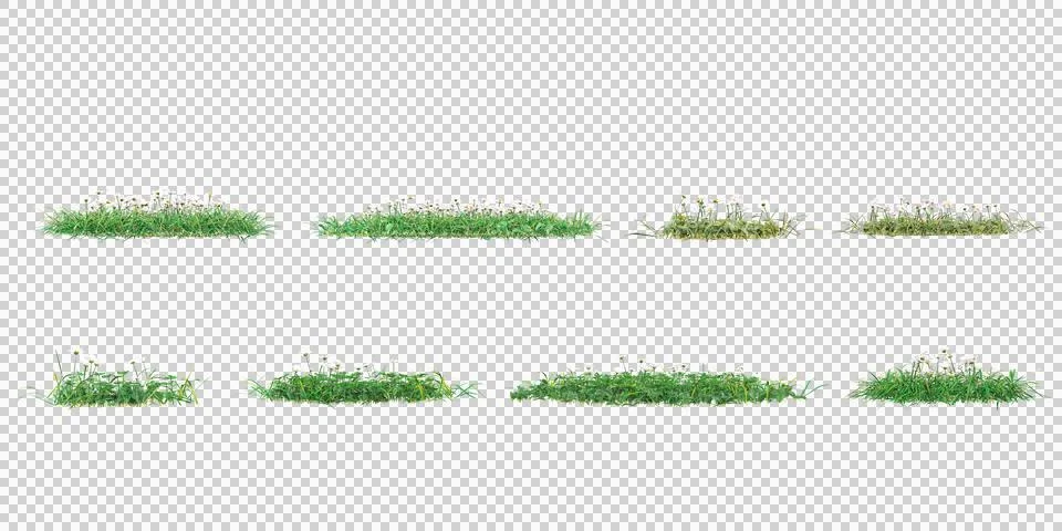 Grass isolated on white background, vector illustration Stock Photos