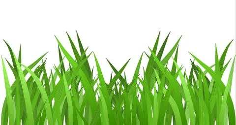 Grass isolated on white. EPS 10 vector Stock Illustration
