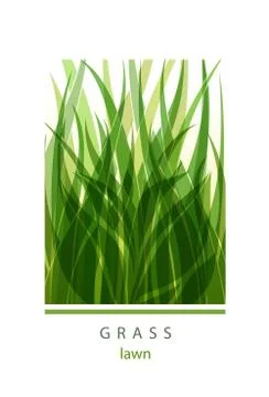 Grass Label abstract design. Green icon. Beautiful Logo Garden C Stock Illustration