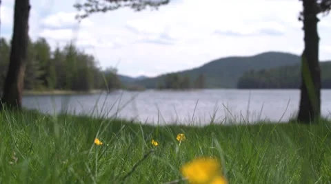 Grass to Lake Focus 4K Stock Footage 63964593