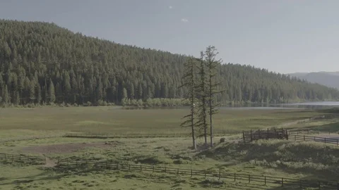 Grass Lake Meadow Stock Footage 121991087