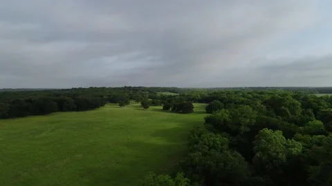 Grass land Stock Footage 194164829