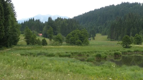 Grass landscape in an alpine valley Stock Footage 121005356