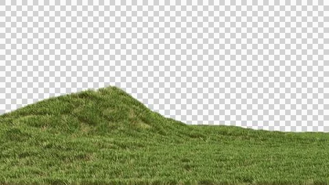 Grass landscape no background Stock Photos