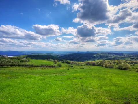 Grass landscape, view of green fields. Foto stock