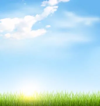 Grass lawn with clouds and sun on blue sky Stock Illustration