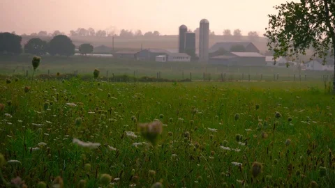 Grass lawn Stock Footage 103357831