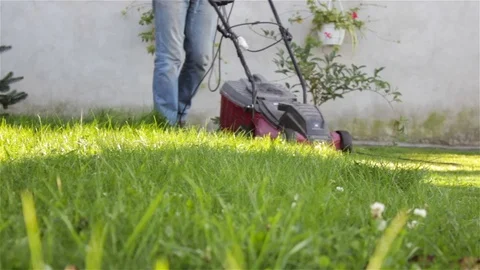 Grass lawn mow Video stock 82796633