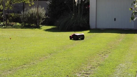 Grass lawn mower cuts grass in the garden Video stock 162455533