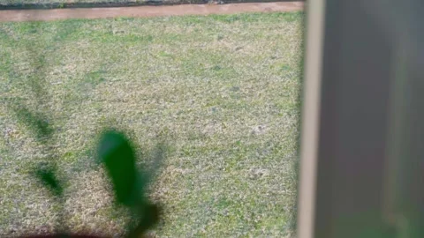 The grass on the lawn outside the window is covered with light snow. Stock Footage 310764885