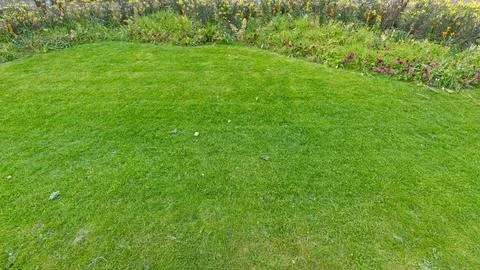 Grass Lawn Park Stock Photos