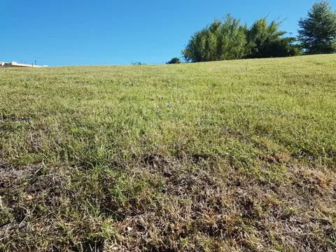 Grass lawn sky clouds for background Stock Photos
