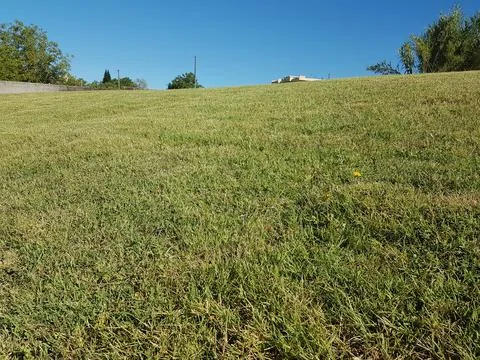Grass lawn sky clouds for background Stock Photos