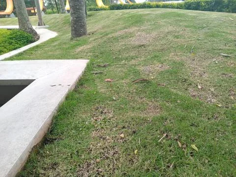 Grass lawn with trees and pathway in park setting Stock Photos
