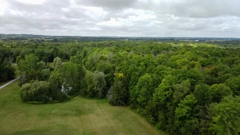 Grass leading to forest 스톡 동영상 146100942