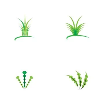 Grass leaf green vector template image Stock Illustration