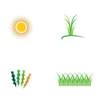 Grass leaf green vector template image Illustrazione stock