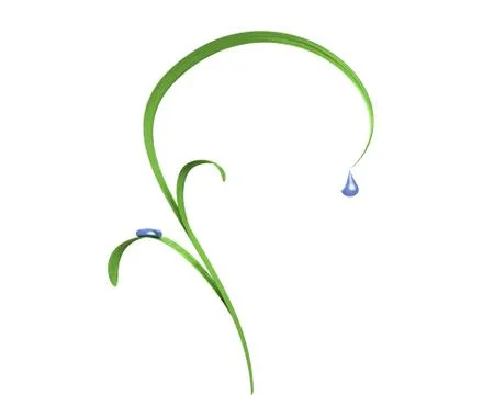 Grass leafs with drops Stock Illustration