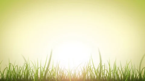 Grass Leaves On Beautiful Sky Background Loop Stock Footage 109621109