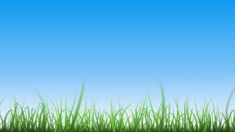 Grass Leaves On Beautiful Sky Background Loop Stock Footage 109798039