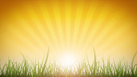 Grass Leaves On Beautiful Sky Background Loop Video stock 110214718