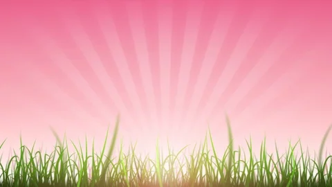 Grass Leaves On Beautiful Sky Background Loop Stock Footage 110266819