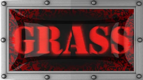 Grass on led Stockbeeldmateriaal 8762332